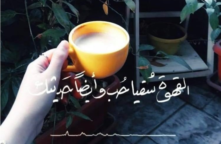 https://emenu.morjan.co/_menu//images/header-back.jpg